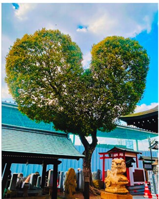 ひだまりのように寄り添いサポートします ご自身の意思で一歩進めるように、伴走型サポートいたします。 イメージ1