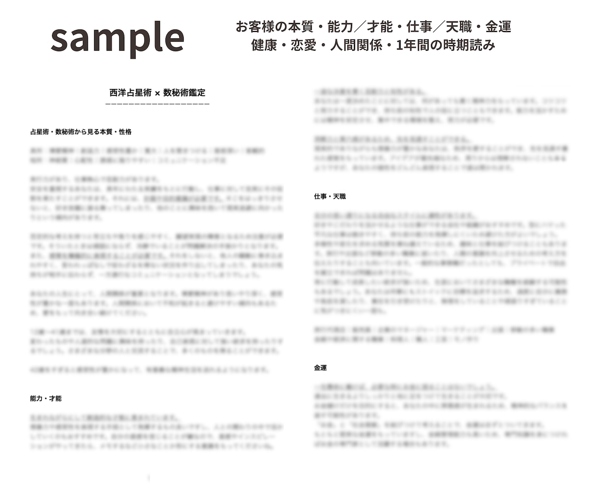 世界にひとつだけの取扱説明書をお届けします 3日以内｜西洋占星術｜プレミアム鑑定 イメージ2