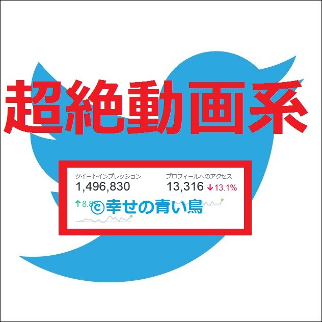 【★属性指定▶超絶動画系★】TwitterアカウントでCM情報拡散宣伝PR イメージ1