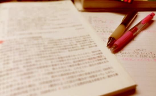 高校入試の3行英作文、200字小論文添削します 塾講師歴7年の塾講師が効率よく点数UPする添削 イメージ3