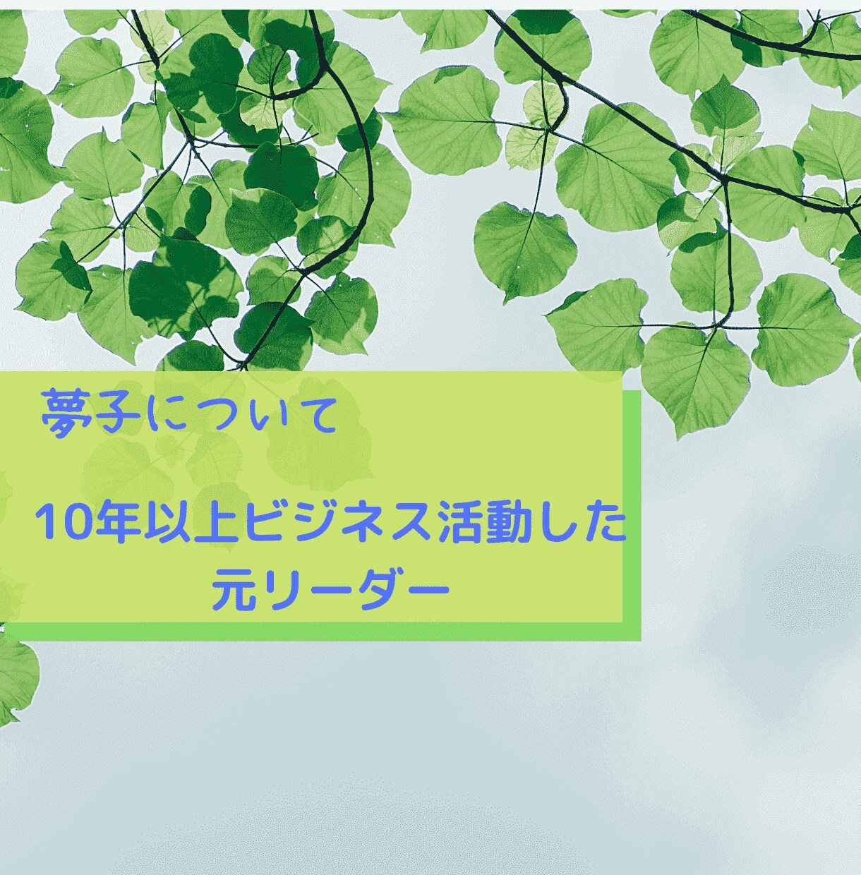 ネットワークビジネスを辞めたい人！相談にのります 一人で抱えていませんか？マルチ商法元リーダーにお話ください！ イメージ4