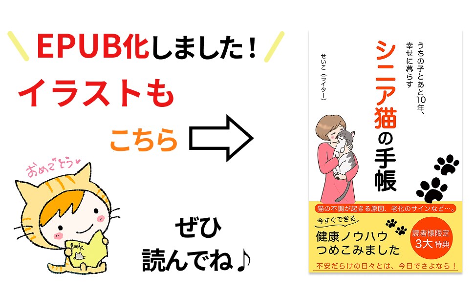 電子書籍のEPUBとペーパーバックセットで作ります 原稿を読んでからきれいなリフロー型・紙本を作成します イメージ5