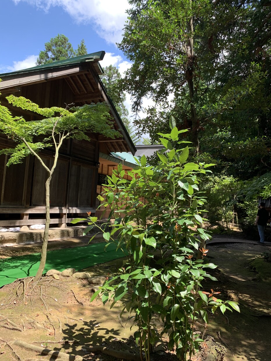 わかってほしい！この気持ち。お聞きします とにかく聞いてほしい！理解してほしい！そんなお話お聞きします イメージ2