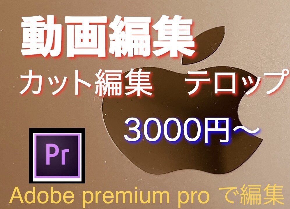 カット作業で動画編集します 動画初心者の方、面倒な編集作業を代わりに行います。 イメージ1