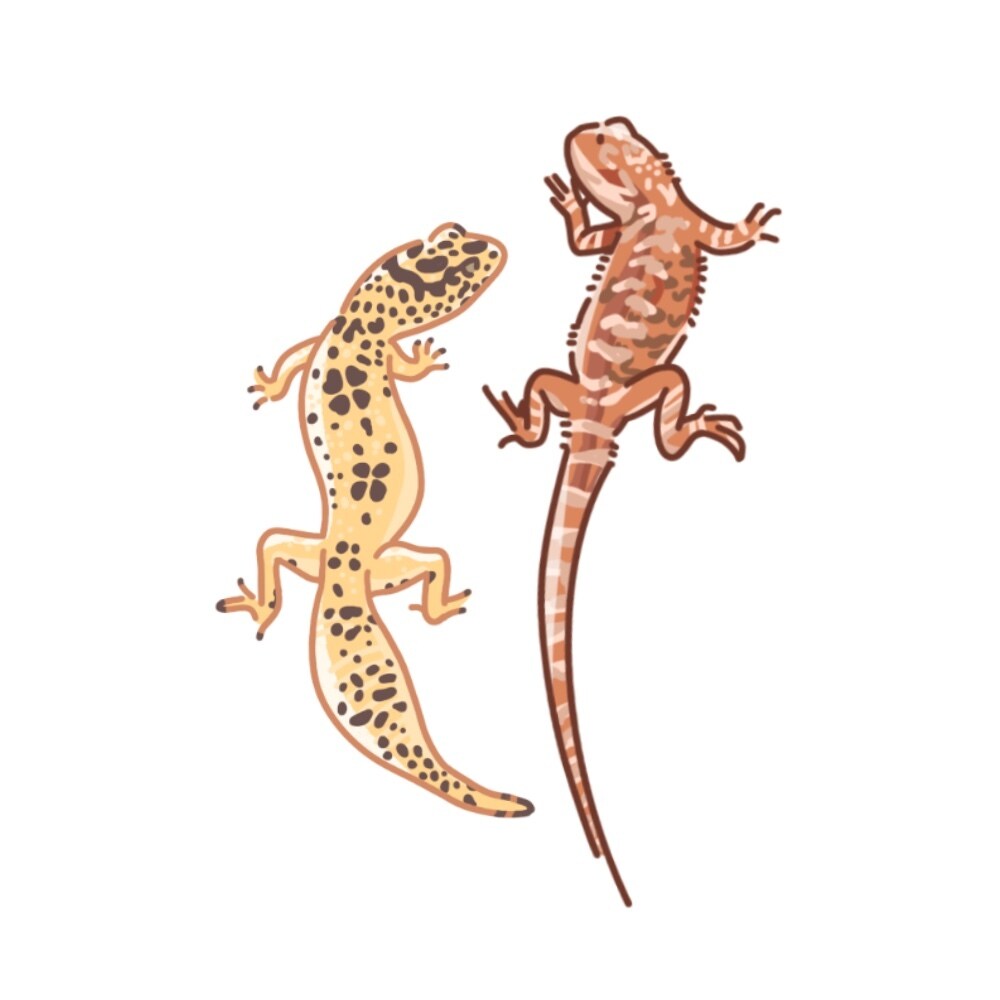 動物のイラスト作成します とことんこだわる！犬、猫、鳥、なんでも描きます！ イメージ6