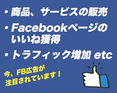 Facebook・インスタ広告を配信します 現役のWEB広告コンサルタントが最適化された運用をいたします イメージ2