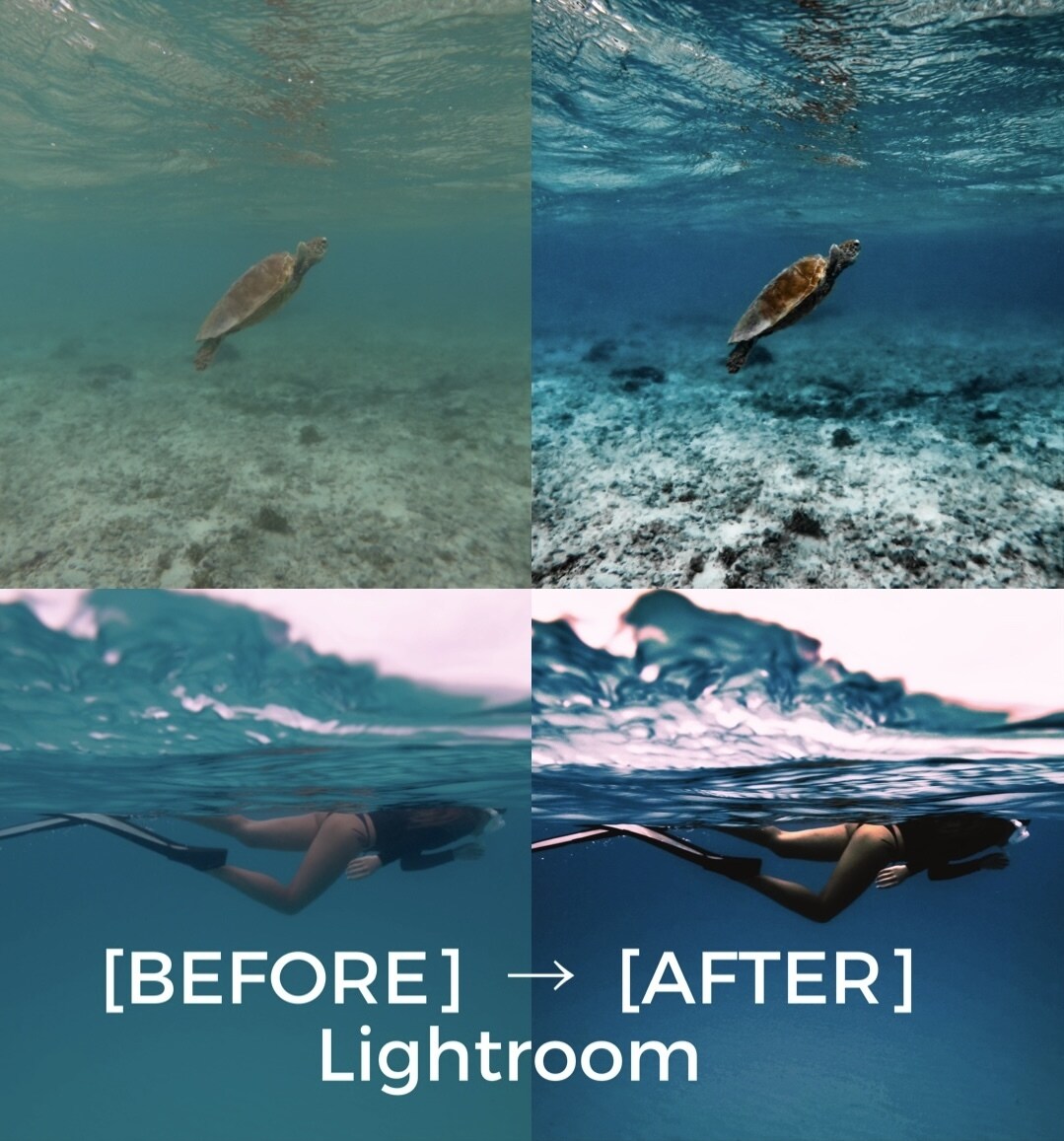 水中写真をLightroomで美しく補正します 水中写真の色補正・レタッチならお任せください イメージ1