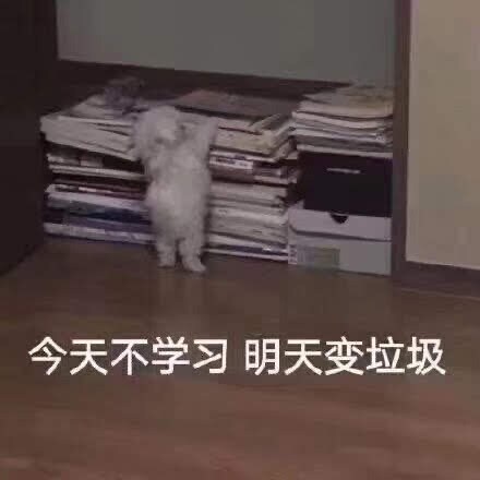 初心者向けの中国語講座再開いたします 日本語も中国語もネイティブレベル！現大学生が教えます！ イメージ1