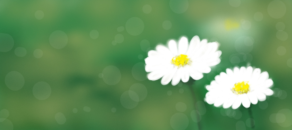 植物 花のイラストを描きます あなたのお気に入りの植物 花のイラストを描きます。 イメージ2