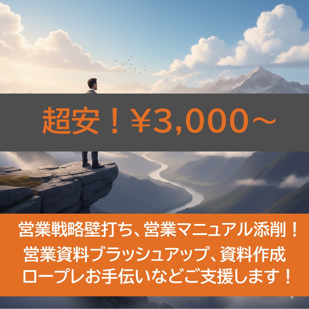 売上の上がる戦略を一緒に作ります 売上に伸び悩んでいる個人事業主様！刺激的な戦略作りませんか？ イメージ1