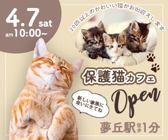 シンプルでお洒落なWEB画像作ります 見習い価格！5名様限定最安値！誠心誠意込めて作ります♪ イメージ4