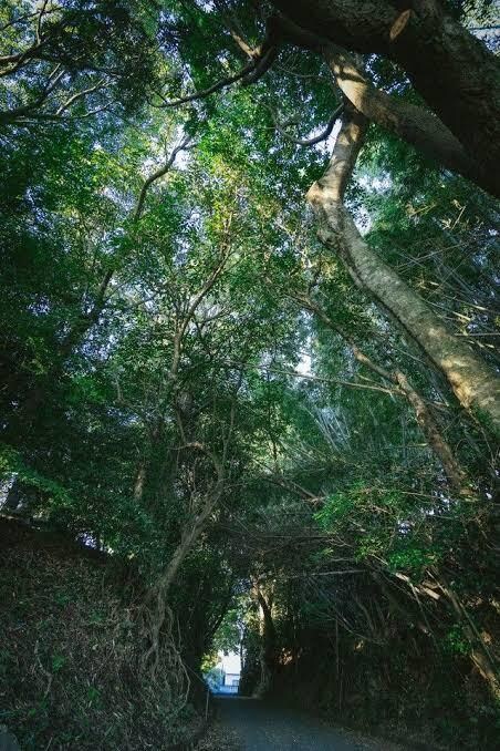 あなたの未来を予言します 未来を知りたくない人は購入をご遠慮下さい。 イメージ1
