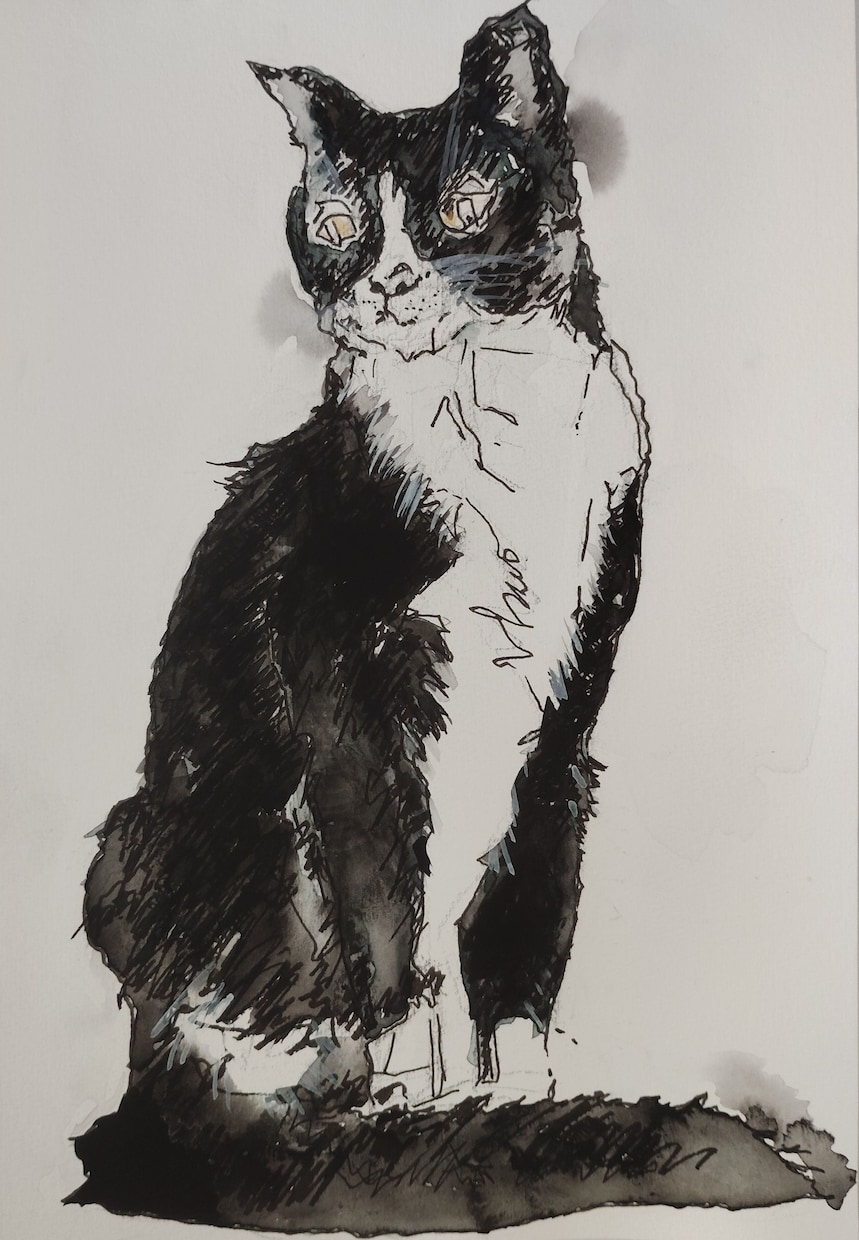 愛するペットを温かみのある手描きイラストで描きます 大切な家族の思い出を世界に一つだけの作品に イメージ1