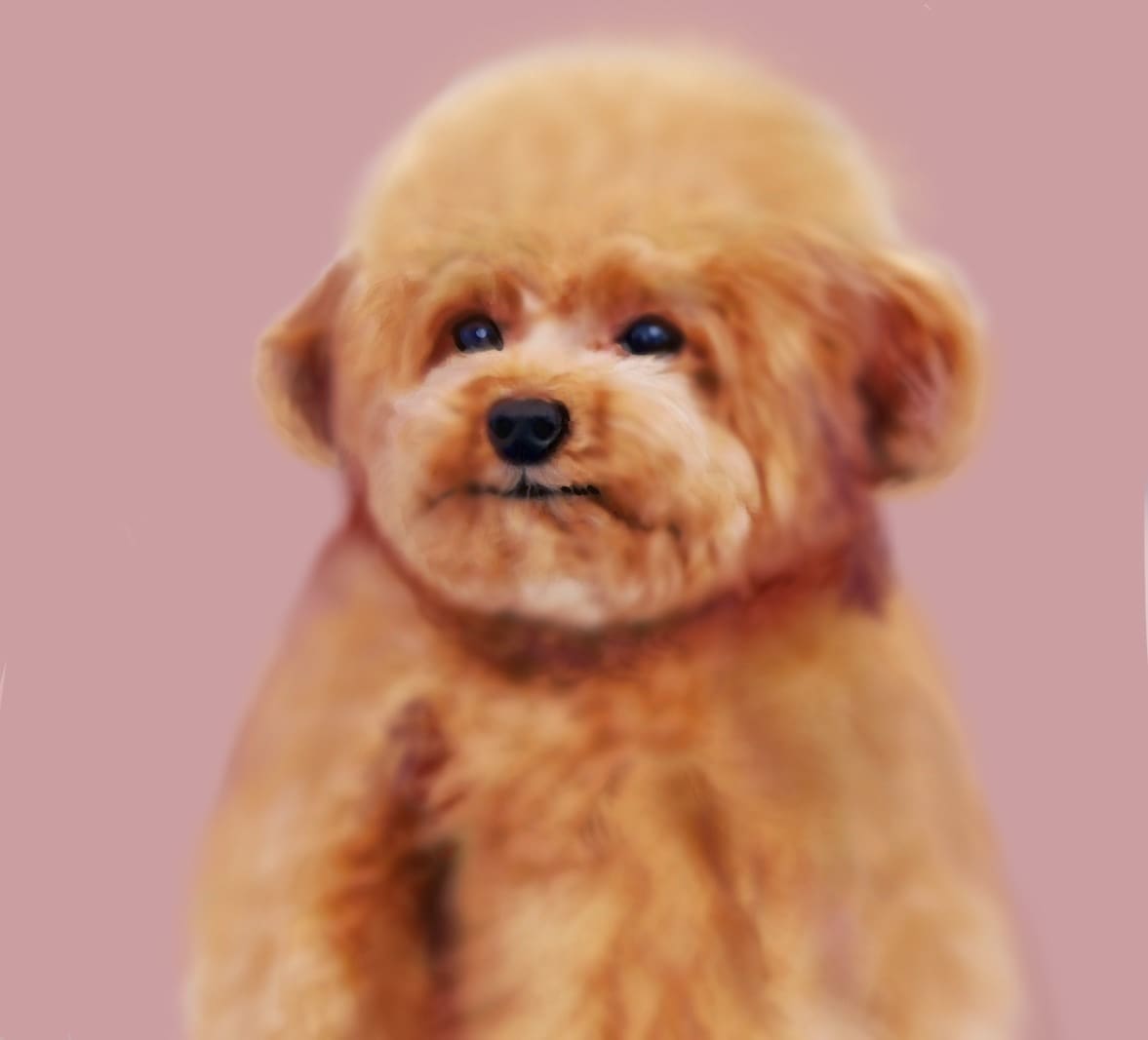 大切なうちの子を、飾れるキャンバスアートにします 現役の画家が肖像画を制作し、キャンバスプリントでお届け イメージ6