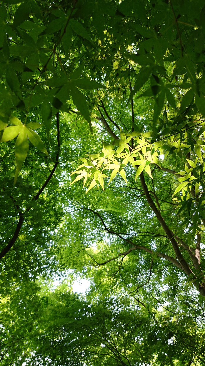 誰にも言えないトラブル、一緒に解決策を探します 時間は解決してくれません。豊富な経験と知恵でサポートします。 イメージ10