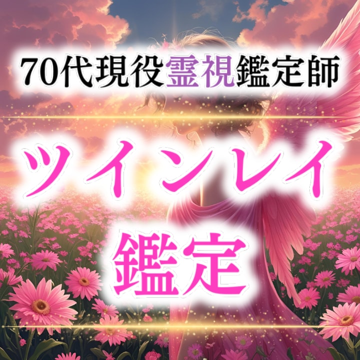 魂のご縁を視て霊視でツインレイ診断をします お相手がツインレイか診断しご縁を強く結びます イメージ1