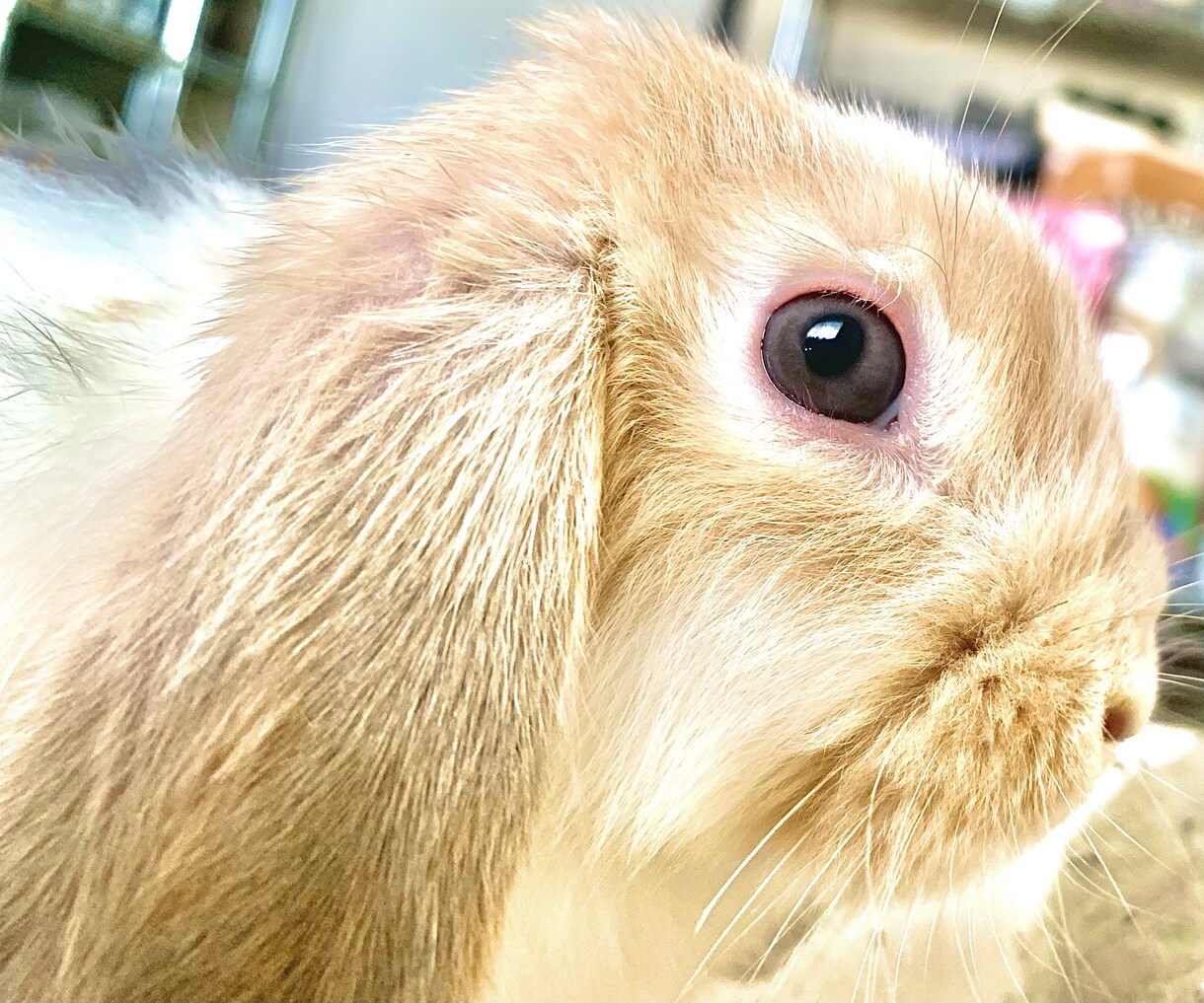 独自の世界でたった一つの写真を作ります アーティスト写真、アー写、画像加工、NFT、素材、結婚、写真 イメージ1