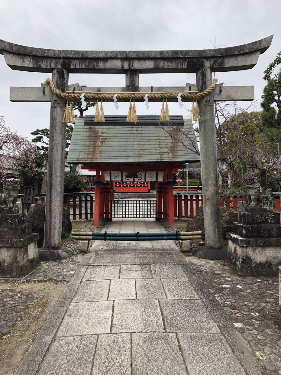 どんなお悩みも聞いて少しでもあなたの力になります 不安や愚痴、私に預けて心をすっきり浄化しませんか？ イメージ1