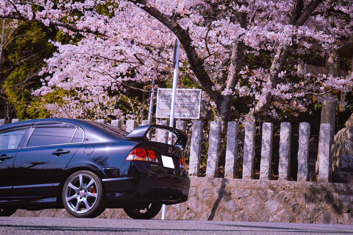 カメラやスマホのあなたの画像を現像、編集します 撮影された画像編集を、編集して現像いたします！ イメージ3