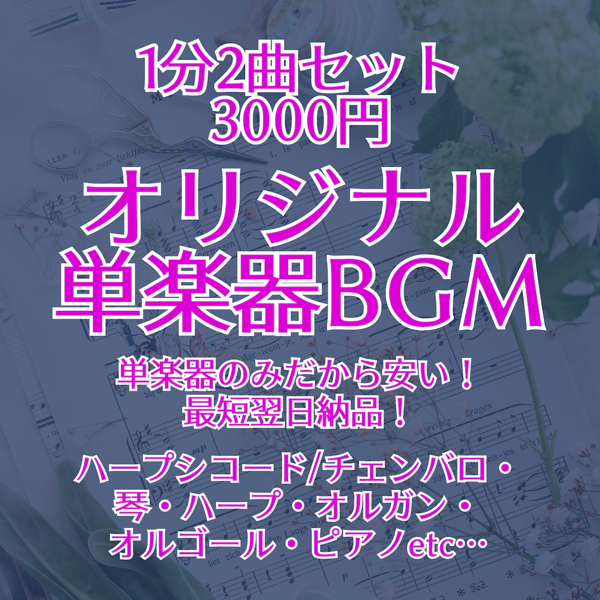 単楽器BGMお安く作ります 一つの楽器のみだから安い！ 2曲セットです！ イメージ1