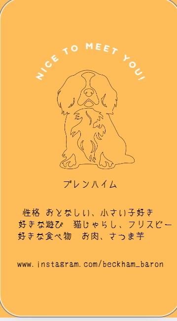 美容、ペット関連のデザインが特に得意でございます 元美容部員、エステティシャン　キャバリアを21年飼っています イメージ6