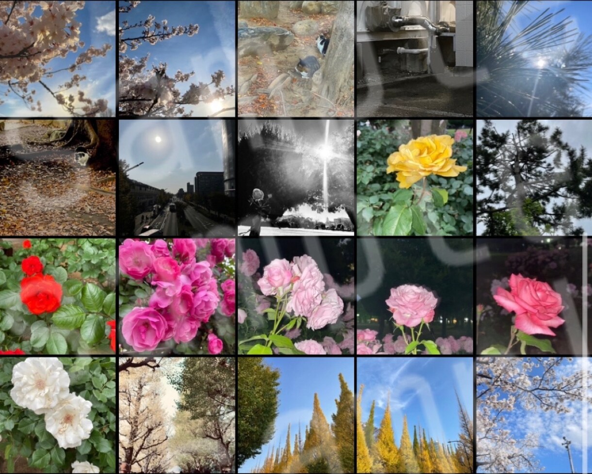 写真を計100枚著作権フリーでご提供します 季節場所様々な写真を用意しました！ イメージ3