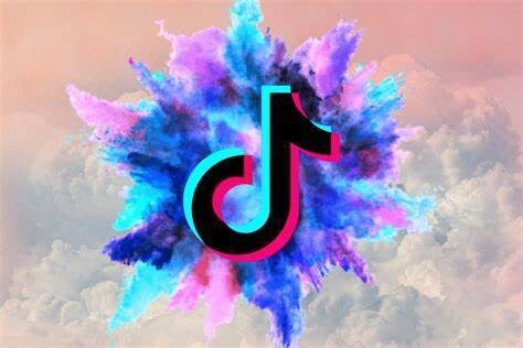 TikTokフォロワー5000人増加させます コスパ◎！安く高品質なフォロワーをあなたにご提供 イメージ1