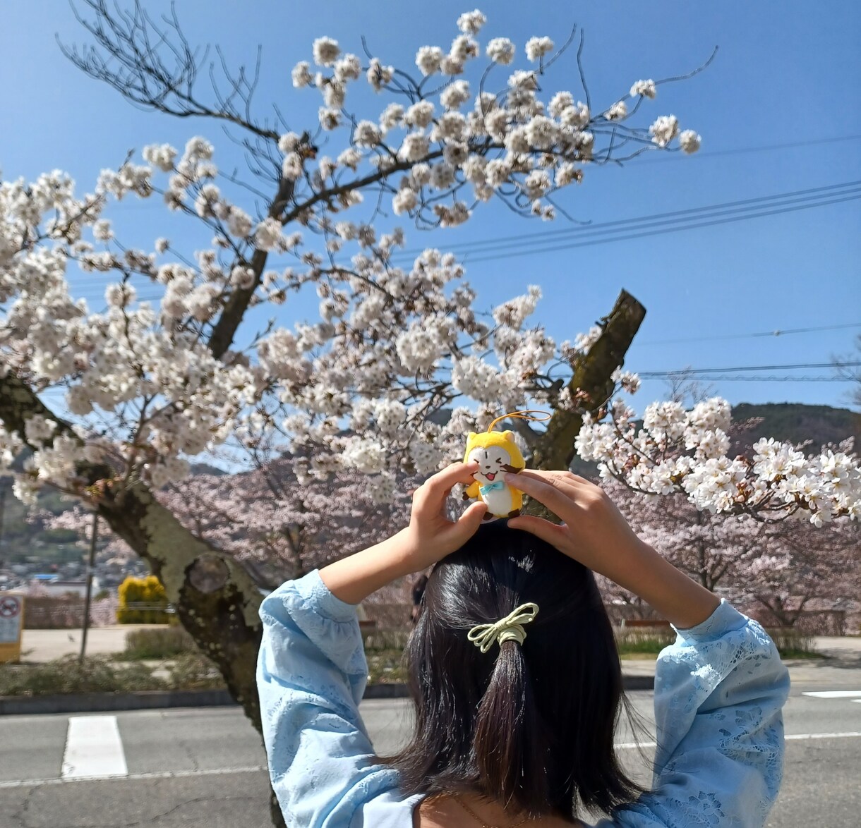 電話版 いつでもお話聞きます 少しでも多くの人の人生に触れたいです イメージ1