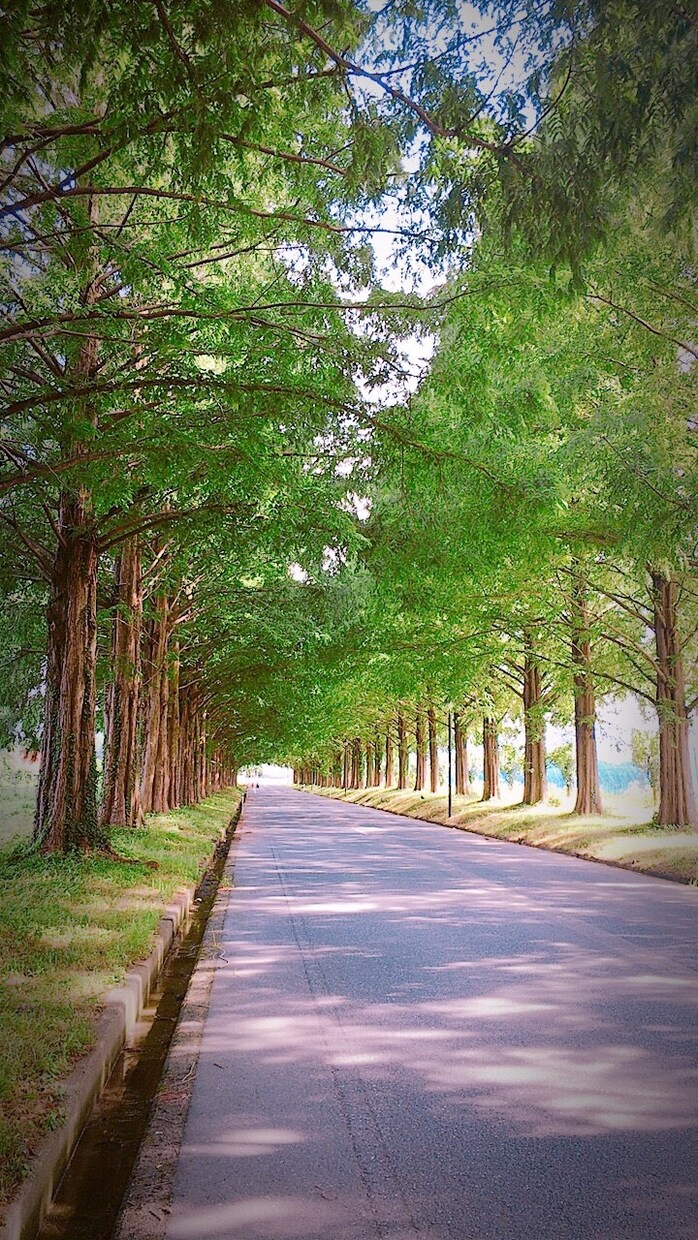 旅行先にオススメな場所紹介します 春夏秋冬、季節問わず自然や都会など色々紹介いたします！ イメージ3