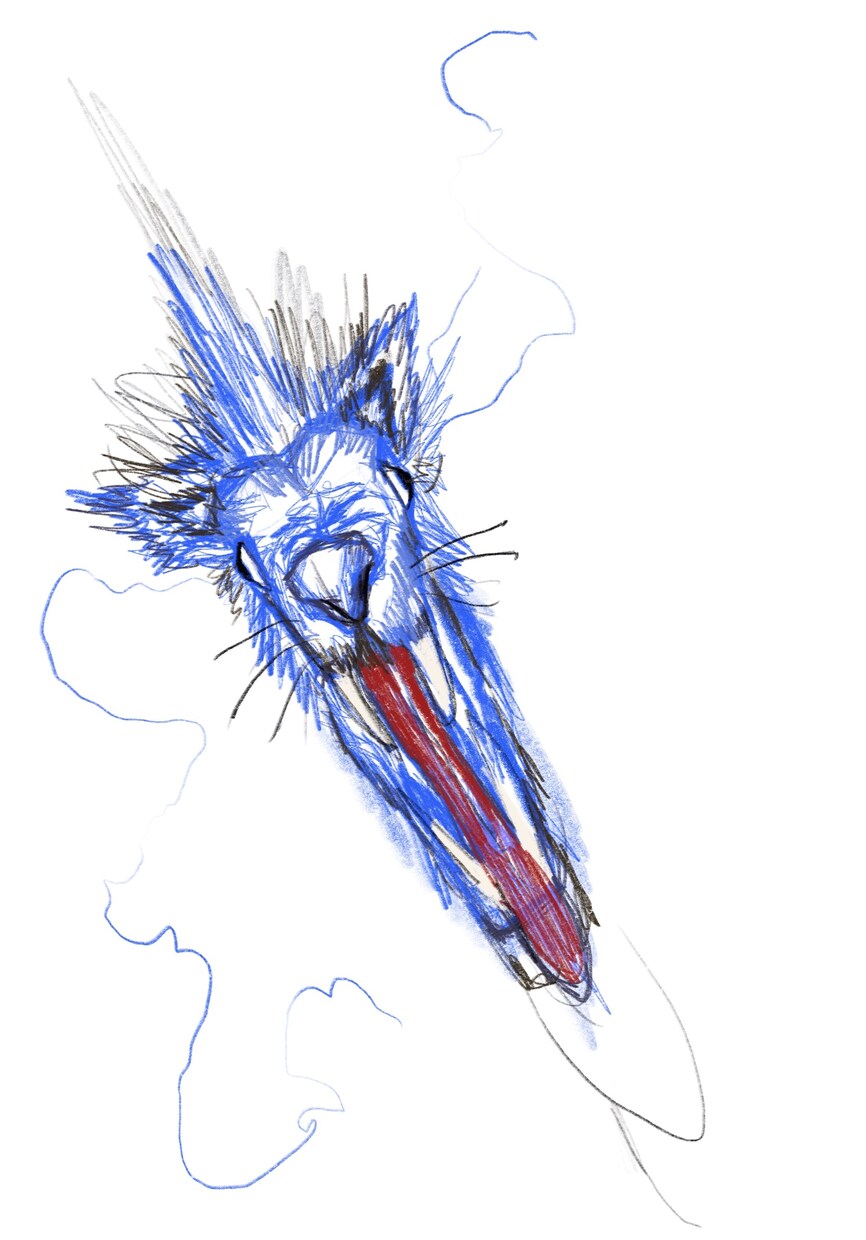 イラスト描きます 簡単なやりとりを交わして、要望を聞きつつイラスト作成します イメージ2