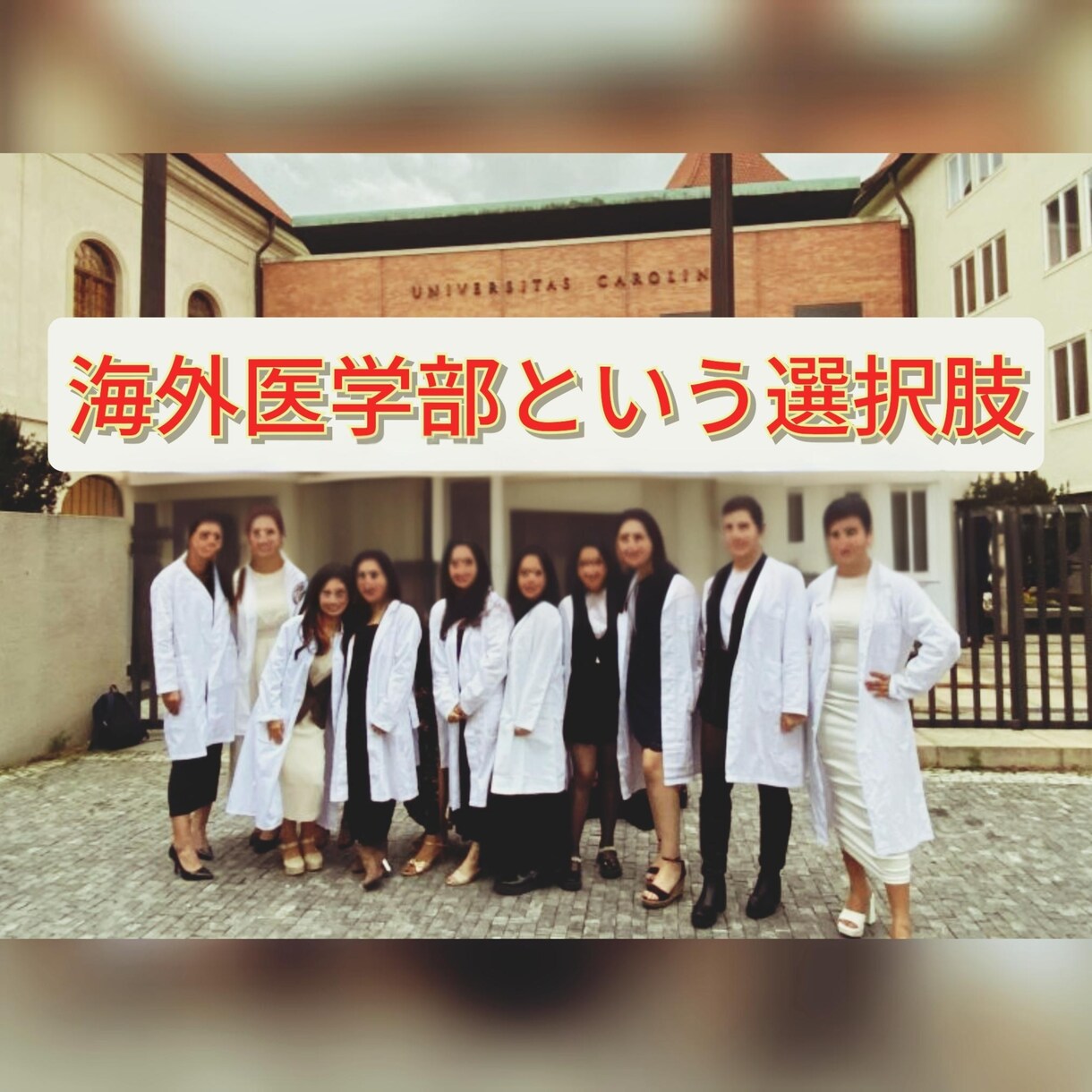 海外医学部の今をお伝えします 海外医学部経験者が経験をもとに生の情報をお伝えします イメージ1