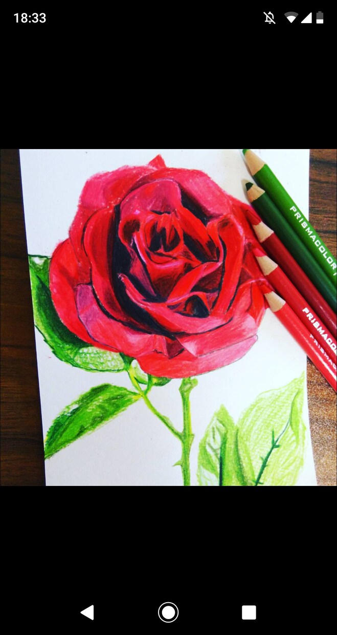 クオリティの高い花の絵を提供します 花のアナログ絵を高クオリティで描きます イメージ1