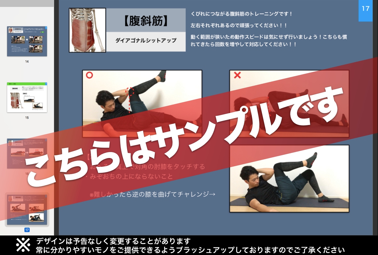 初心者向け：自宅メニュー【動画つき】を作成します 各種目の解説動画つき！頑張るあなたを全力サポート致します♪ イメージ2