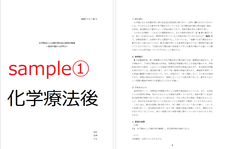 看護の資料作成！ケースレポートの作成を手伝います すぐ書き出せる！様式・書き方・実際の例をまとめてお送りします イメージ5