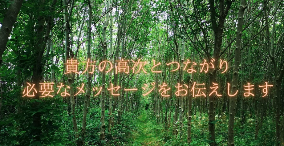 ハイヤーセルフからのメッセージお伝えします あなたの最高の応援者からの温かなメッセージをお伝えします イメージ2