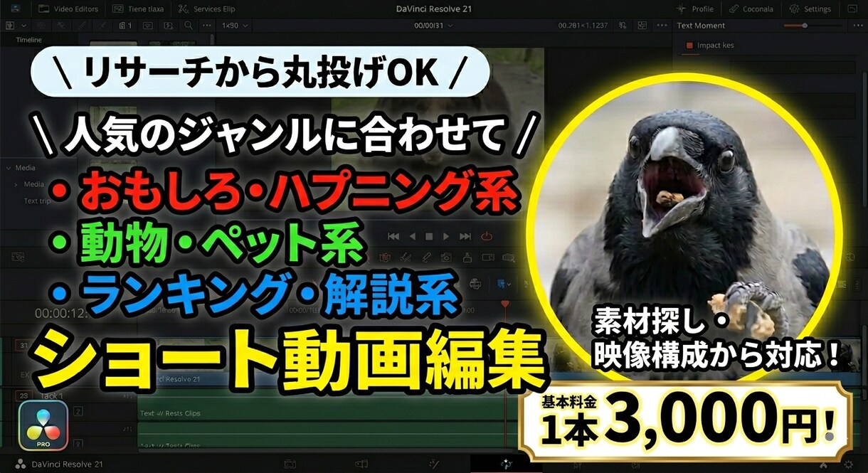 ショート動画、tiktokの動画編集受け付けます リサーチから丸投げOK！海外おもしろショート動画を編集！ イメージ1