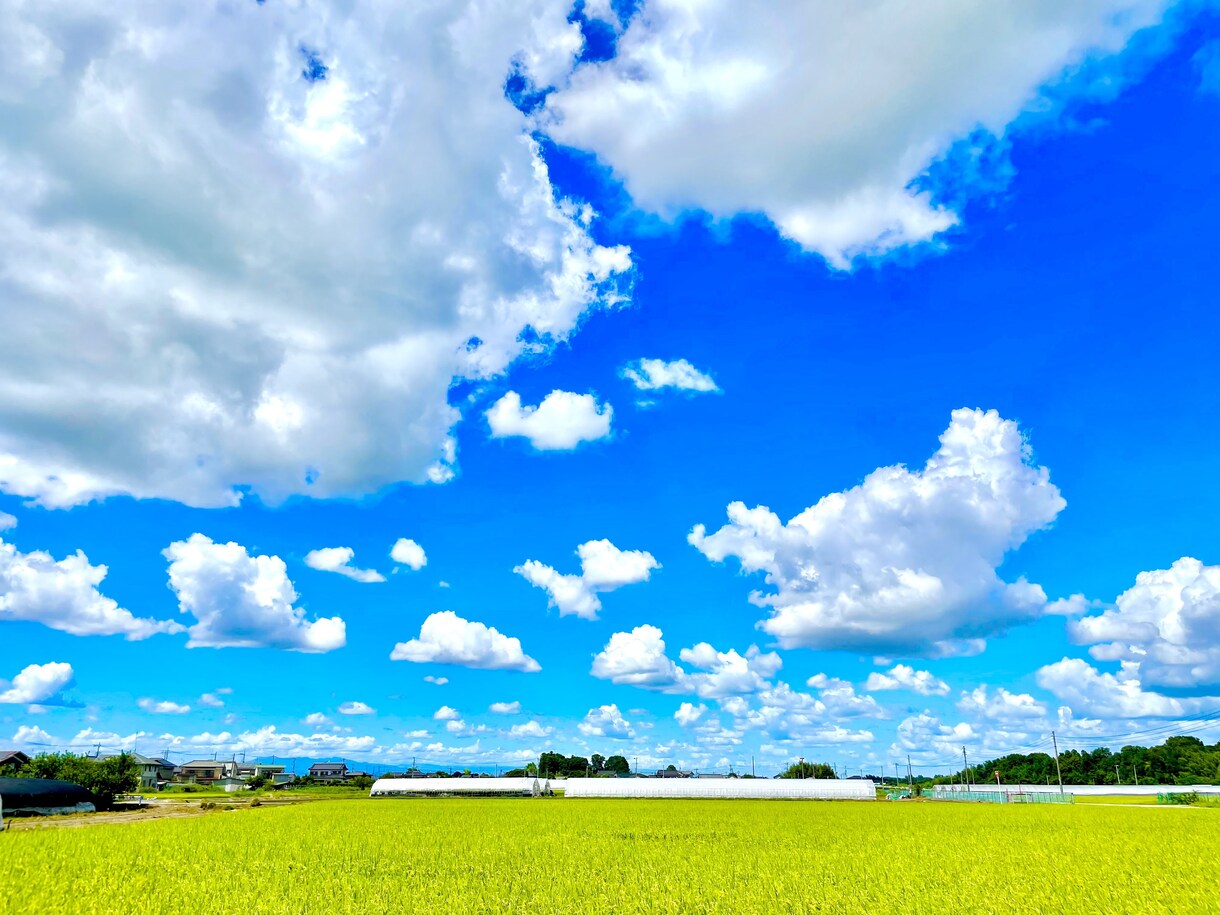 誰かと繋がりたい！誰かに聞いて欲しい！寄り添います お悩み・世間話なんでも対応します！経験上からのアドバイスも！ イメージ1