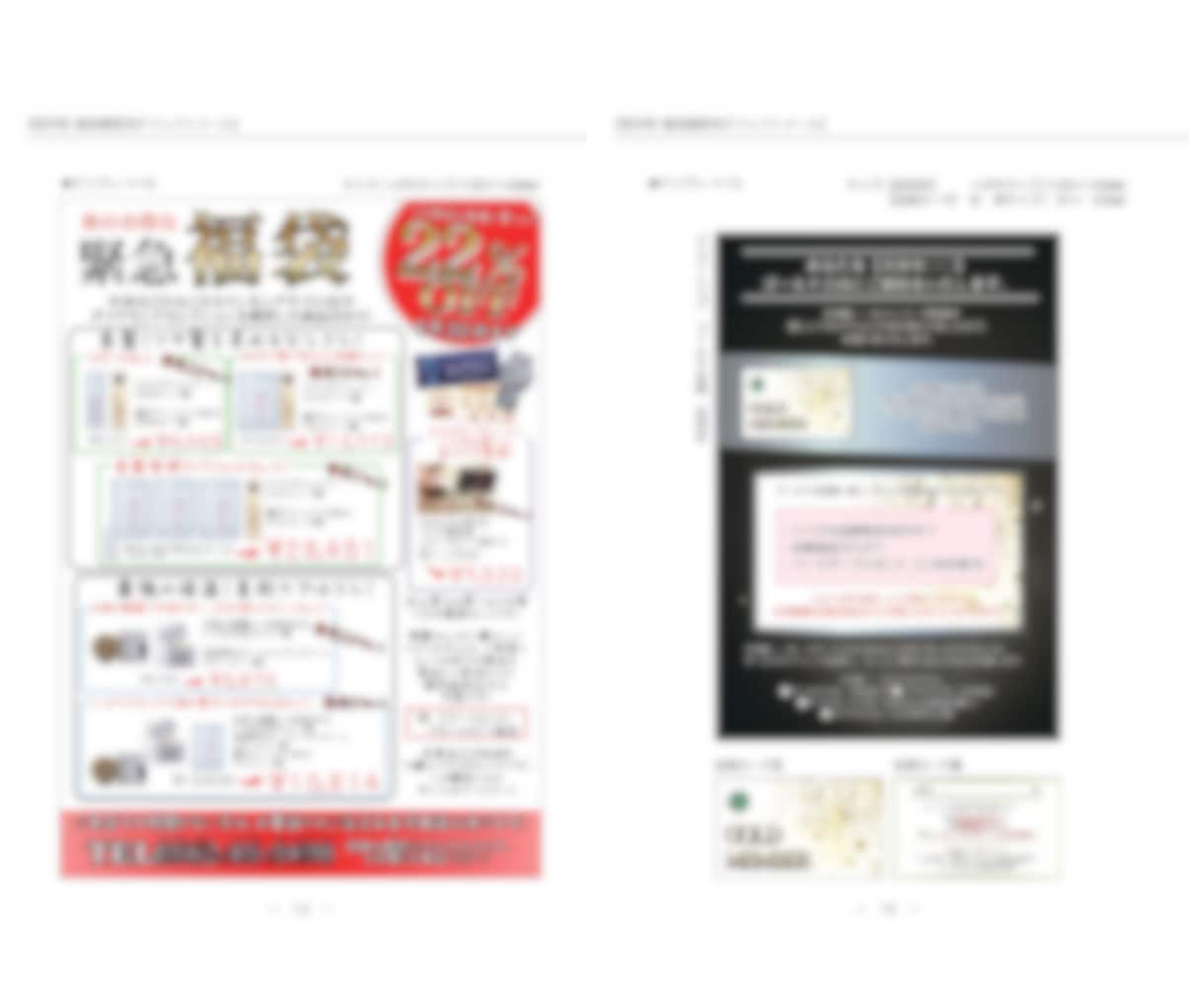 美容室【成果の出たチラシテンプレ】17種販売します 美容院/美容サロン/チラシ/ハガキ/DM/ダイレクトメール イメージ10