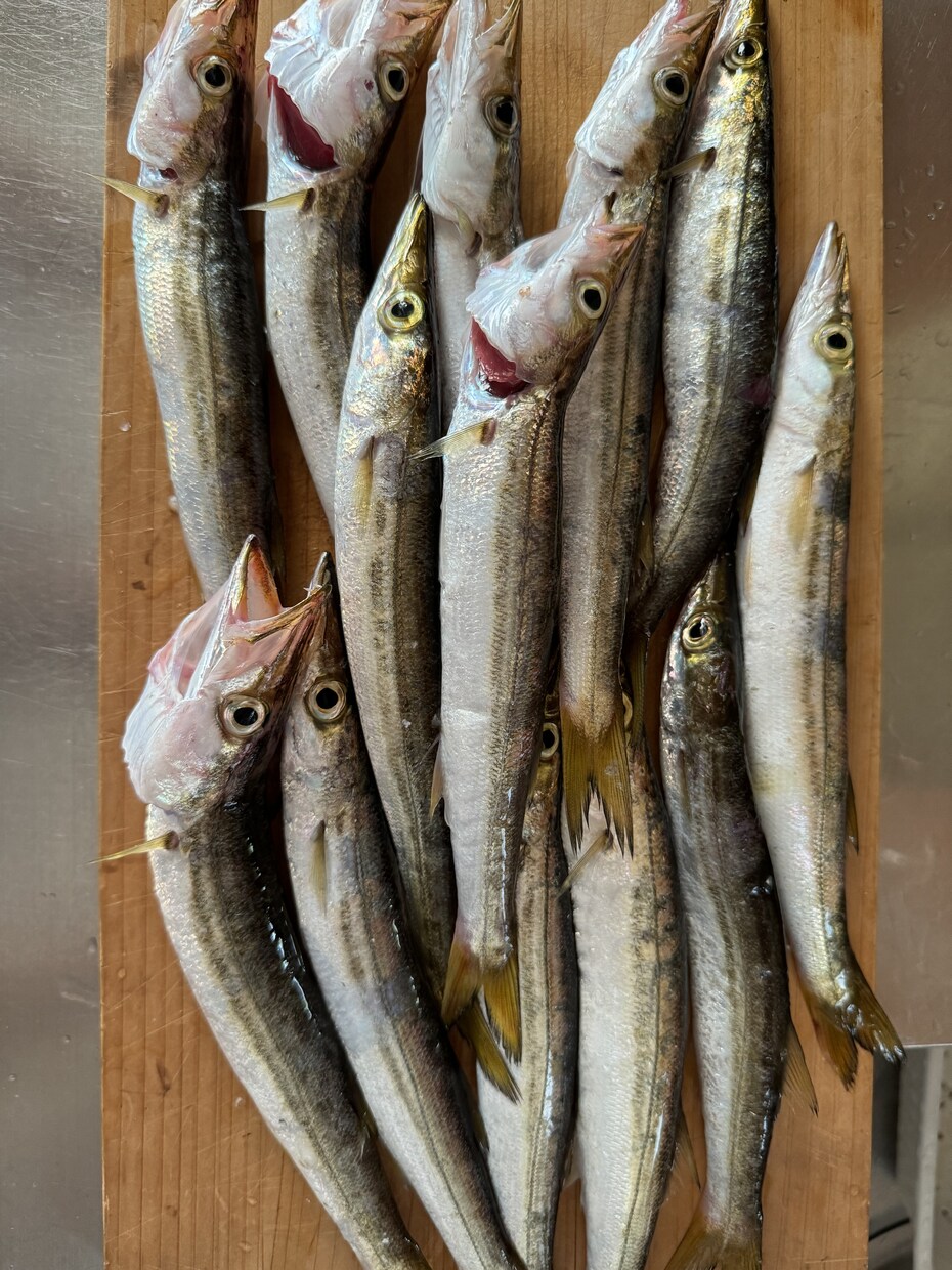 釣りを始めたい方に0から丁寧にアドバイスします 釣りで必要な道具の購入や釣り方を0から丁寧にサポート！ イメージ7