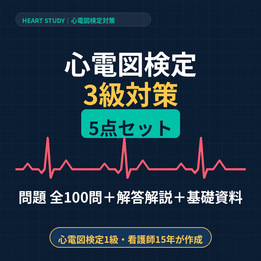 心電図検定3級対策PDF5点セットお渡しします 心電図検定1級取得者が作成した対策教材です イメージ1