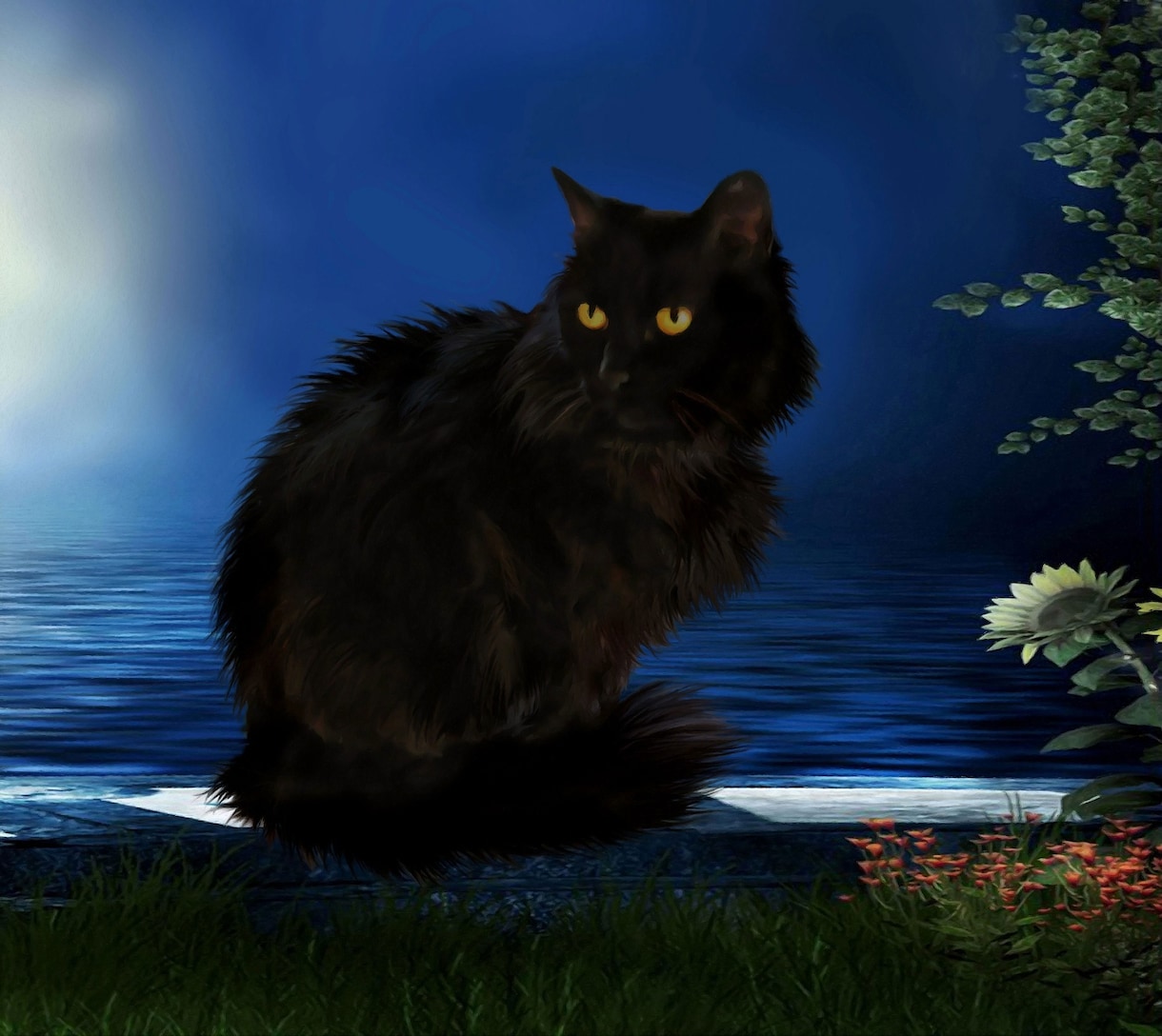 猫の占い魔法。本当のあなたはキラキラと輝いています 対話式であなたの気持ちに寄り添います。迷いを晴らす占いです。 イメージ1