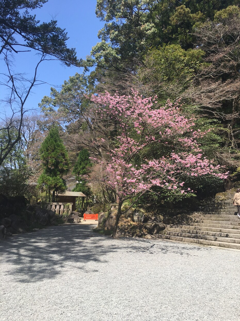 恋愛で悩んだでいる話をききます 婚活カウンセラーとして活動していました。 イメージ1