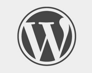 WordPress（ワードプレス）関連でのご質問・お悩み・ご相談を解決いたします。 イメージ1