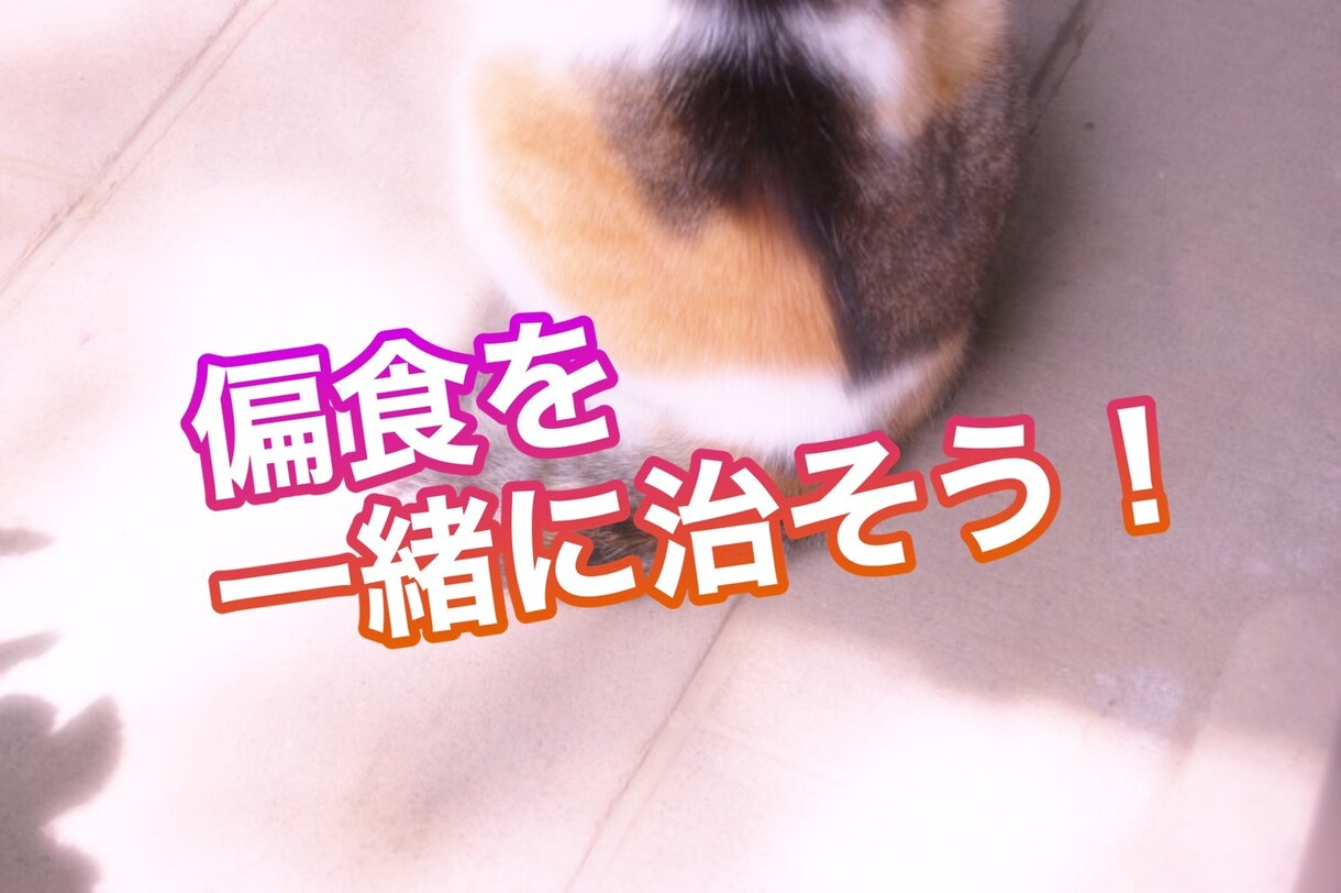 偏食を治すお手伝いします 偏食を克服して食事を楽しみましょう！ イメージ1