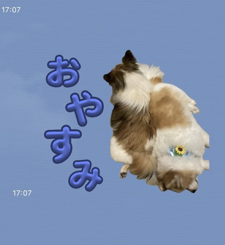 お気に入りの写真でLINEスタンプ作成します 愛するペットやお子さんの写真をLINEスタンプにしませんか？ イメージ4