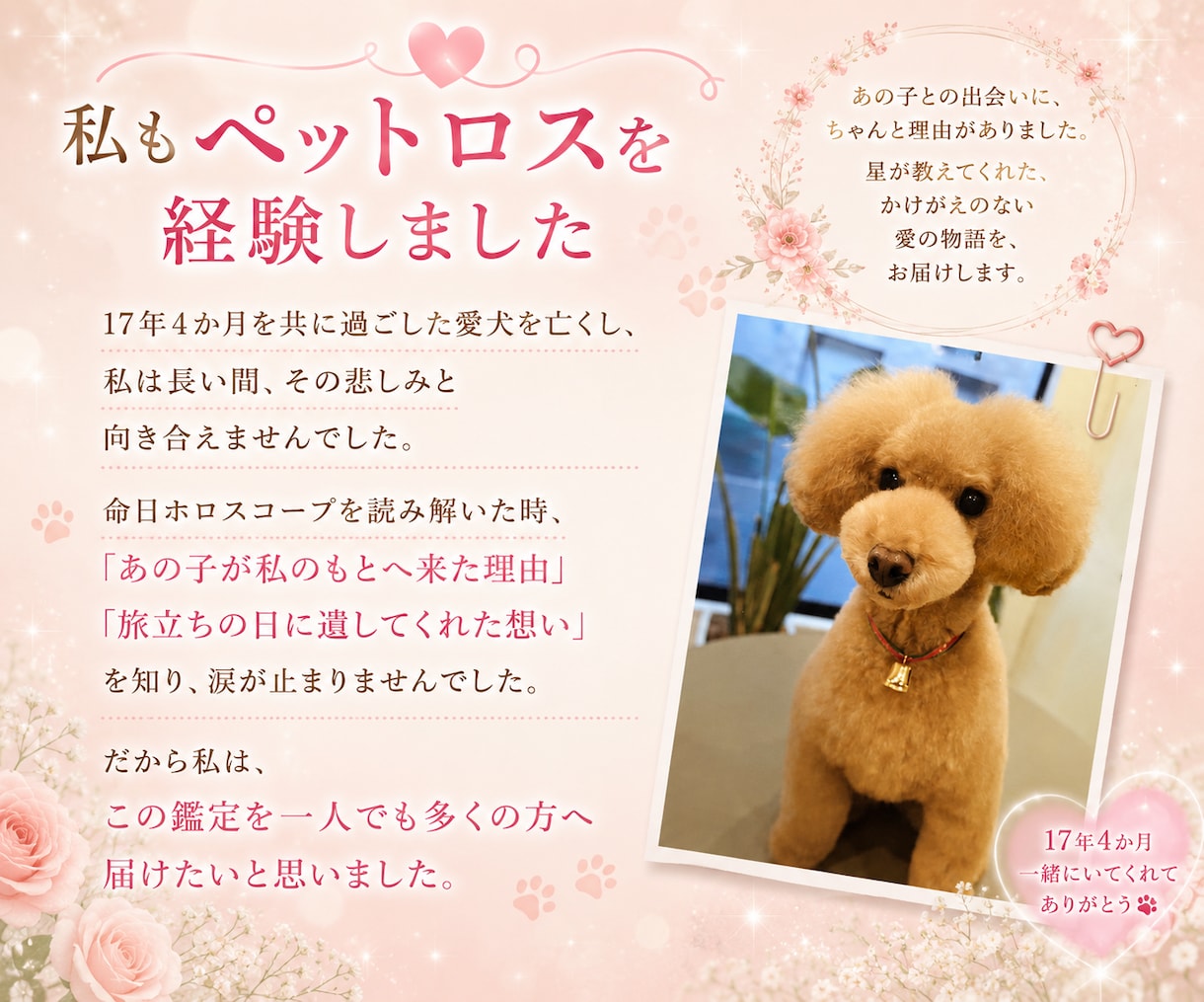 ペットロス【命日鑑定】を西洋占星術で読み解きます あの子が最後にあなたに伝えたかったメッセージ/ペットの気持ち イメージ7
