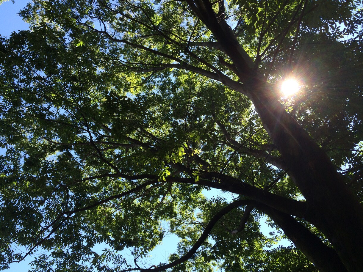 風景の写真撮ります イメージ2