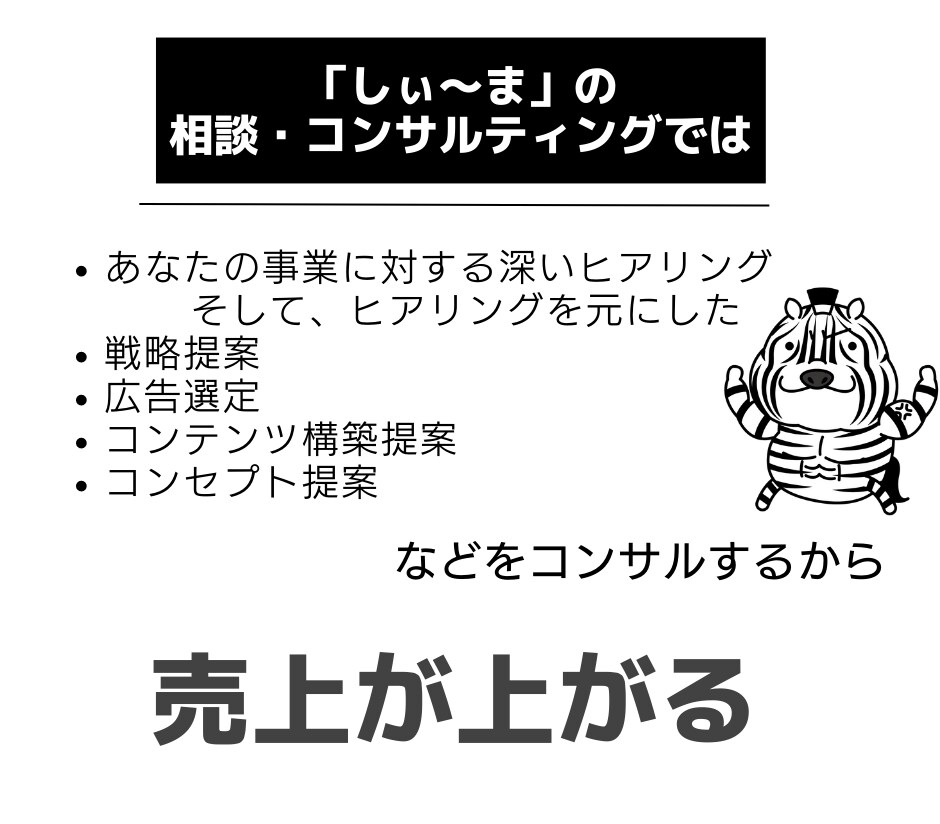 あなたに合わせてマーケティング戦略をコンサルします 現役WEBマーケター全力対応【戦略を整えるだけで売上アップ】 イメージ5