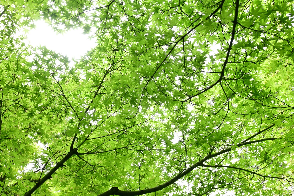 あなたのお悩みお伺いします あなたが持つ沢山の素敵な個性を再発見しましょう イメージ1