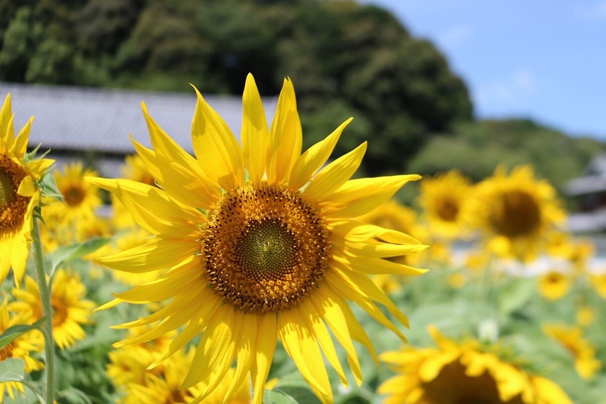 なんでも話し相手になります 元保育士があなたの愚痴聞きます♪ イメージ2